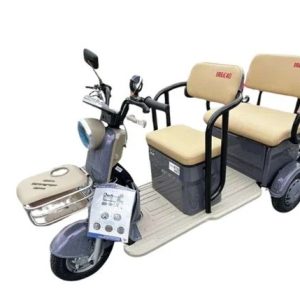 2024 ELECTRIC TRICYCLE MINI GOLF CART IRGC40